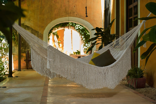 White hammock with fringe in a sunlit room with plants